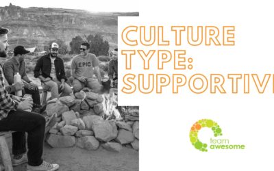 What Type of Culture is Your Team? Supportive Culture [1 of 4]