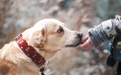 An Essential Moment for Trust